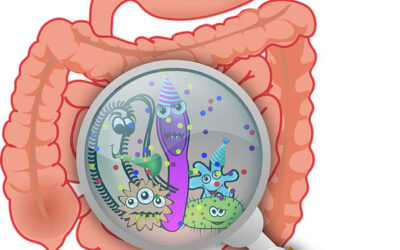 Microbiota y alimentos procesados