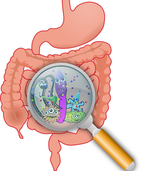 Microbiota y alimentos  procesados